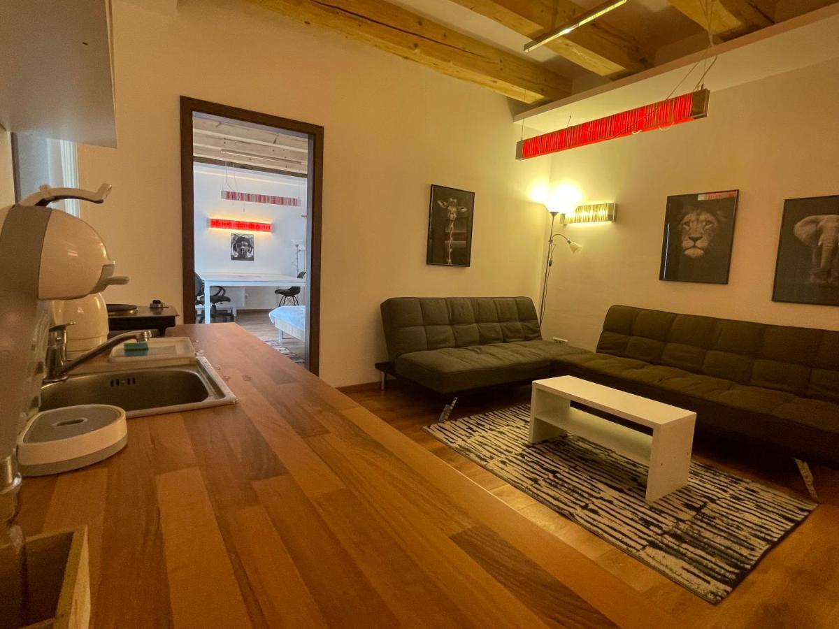 Savoya4 Old City Center Self Checkin Workspacestudio 티미쇼아라 외부 사진